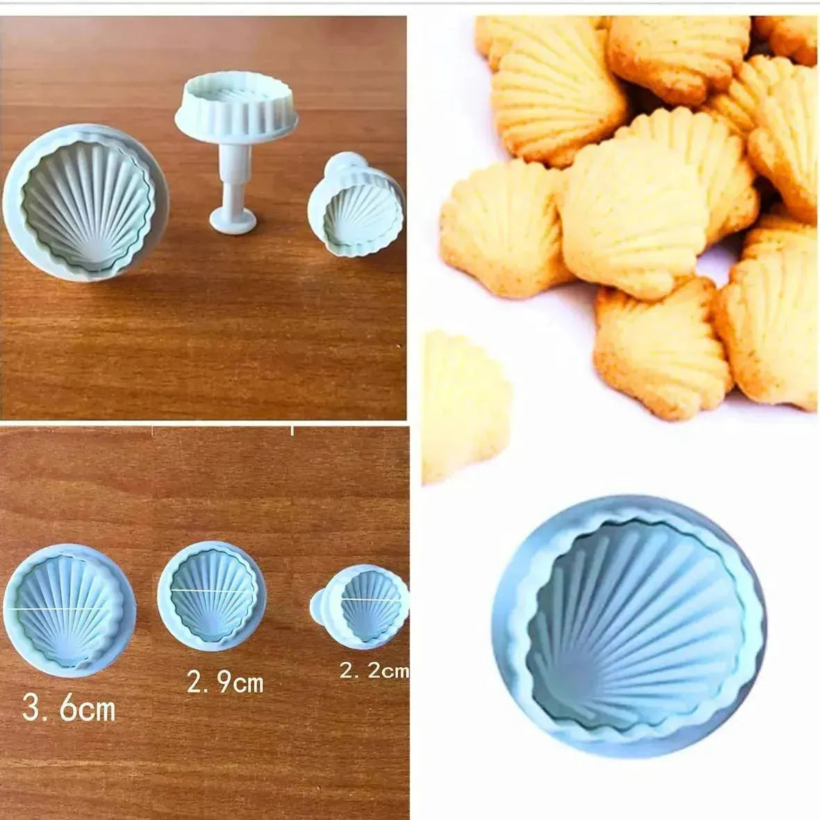 3 PCs Sea Shell 3D Plunger Cutter - thebakingtools.com