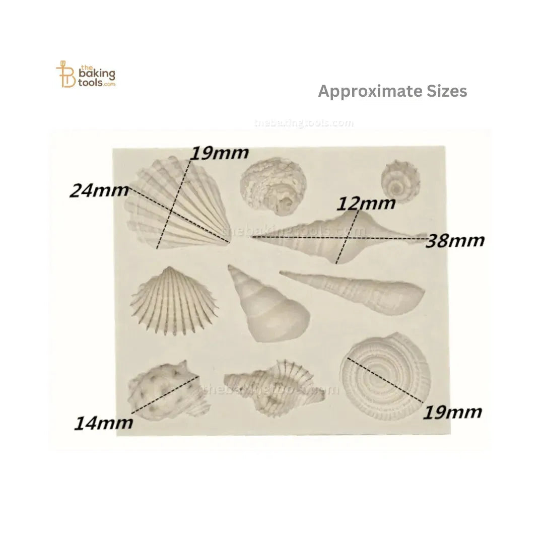 Shell Conch Sea Silicone Fondant Gum Paste Mould - thebakingtools.com